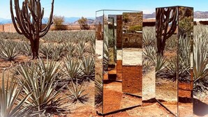 Unclassified image, 3 of 8, button - Hotel Monte Agave (Tequila)