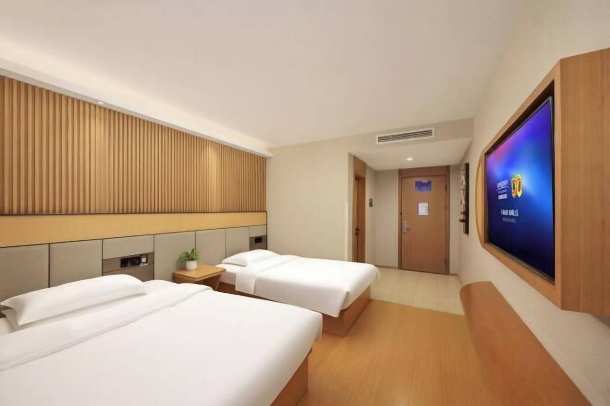 A hotel room with two beds, a TV, a wooden headboard, and a small table with a plant.