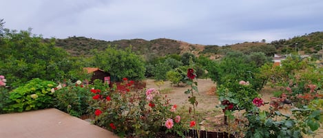 Terrain de lâhĂ©bergement