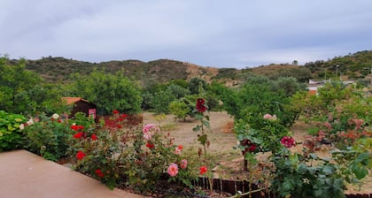 Charming villa with a private pool and gardens, nestled in a beautiful valley.