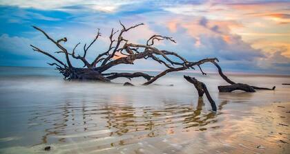 2bd/2ba Condo * Renovated * Pool *30 day+ stays