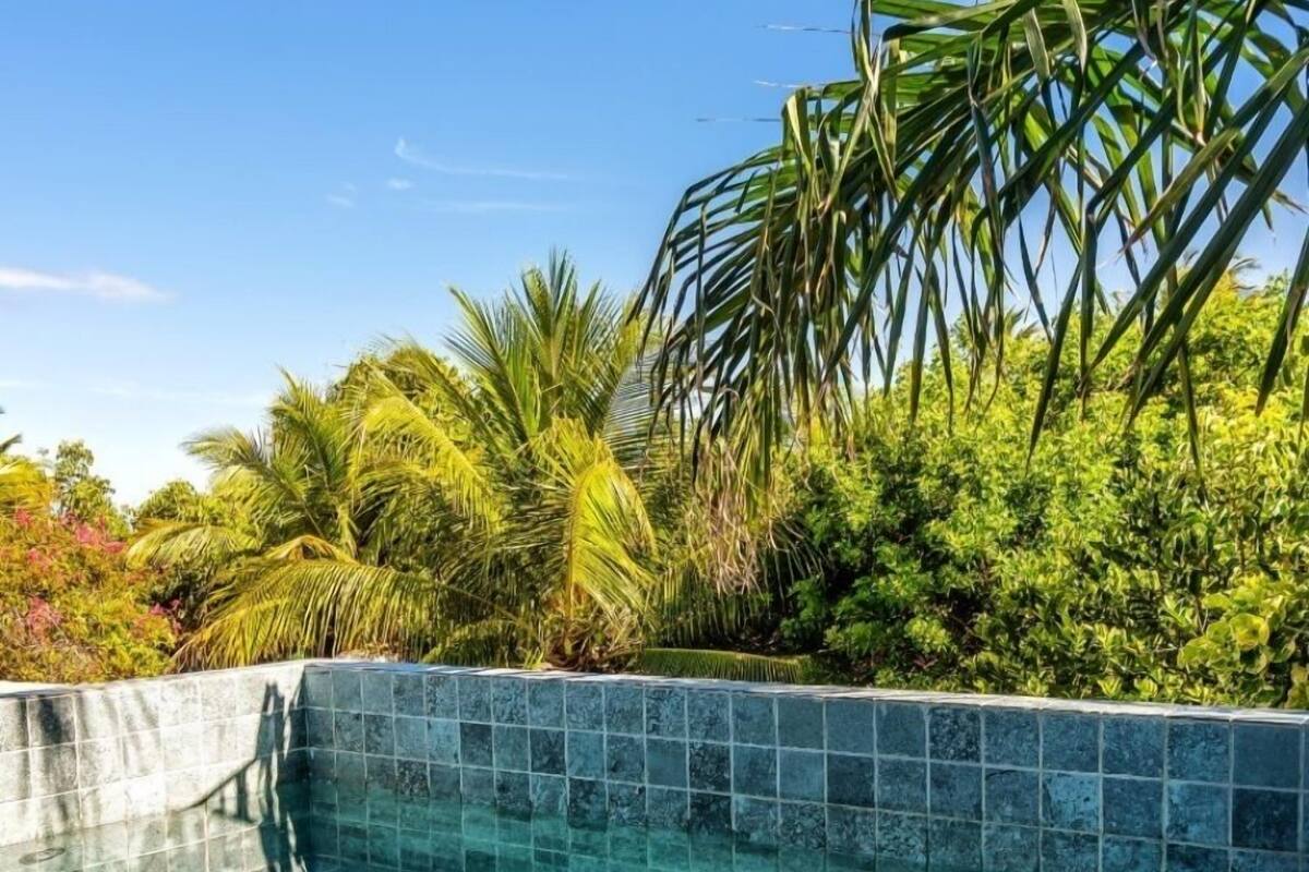 Une piscine à l’eau d’un bleu cristallin, entourée d’une végétation luxuriante et de palmiers.