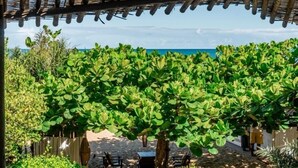 An outdoor seating area with a view of the ocean, covered by a wooden pergola. - Terrazza Trancoso Hotel Boutique (Porto Seguro)