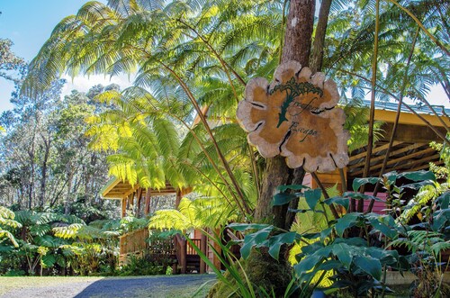 Gorgeous 3b/2b house minutes from Natl Park & Volcano Village. Family friendly!