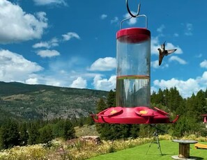 Property grounds - Scenic Cozy Solar-Powered Tiny Home High in the Rockies Near Vail Ski Resort (Red Cliff)