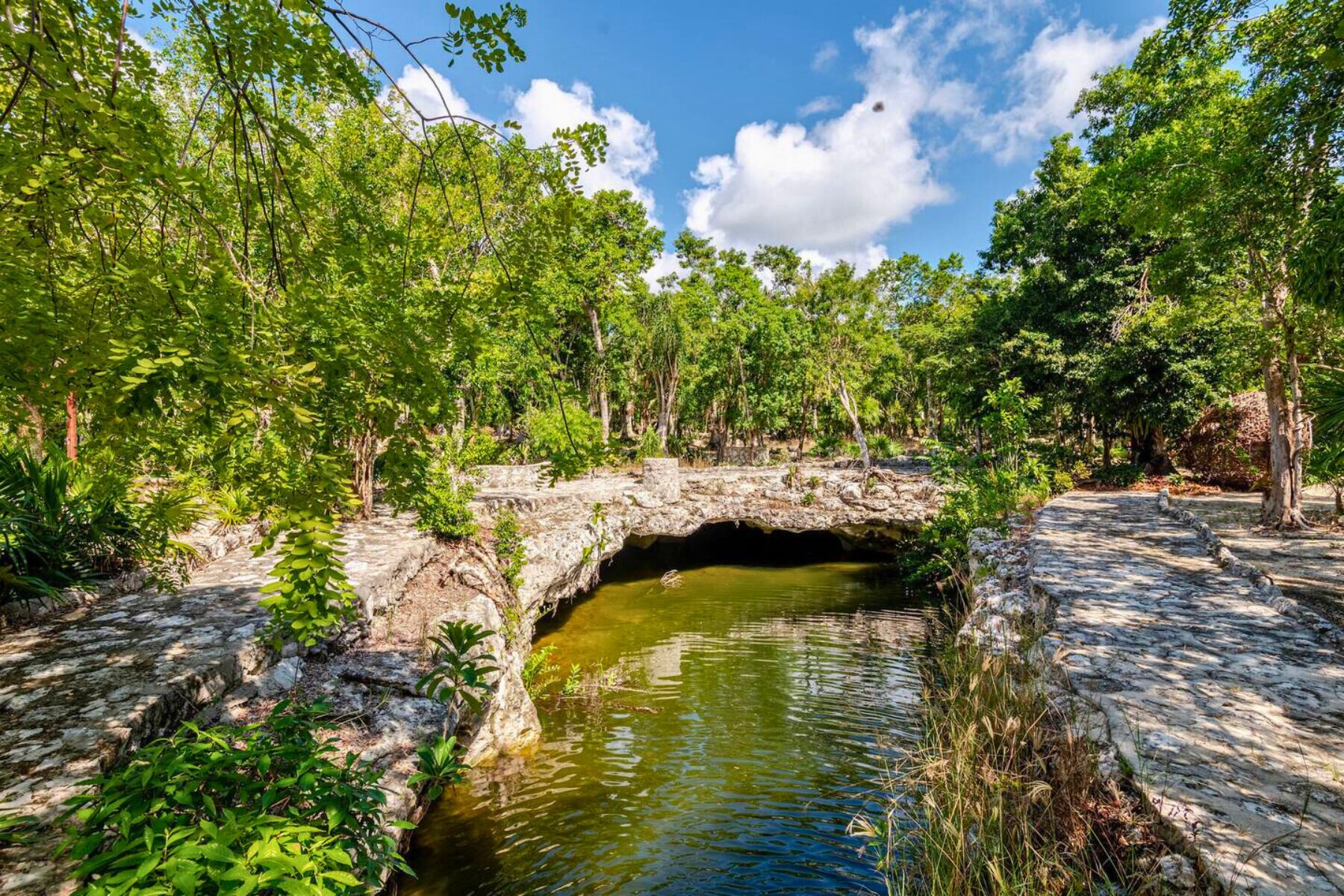 A stone bridge over a small stream in a lush, green forest.