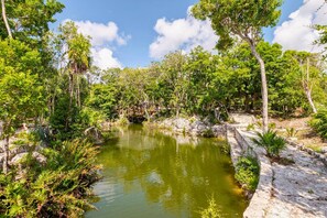 Property grounds - Tulum Country Home (Akumal)