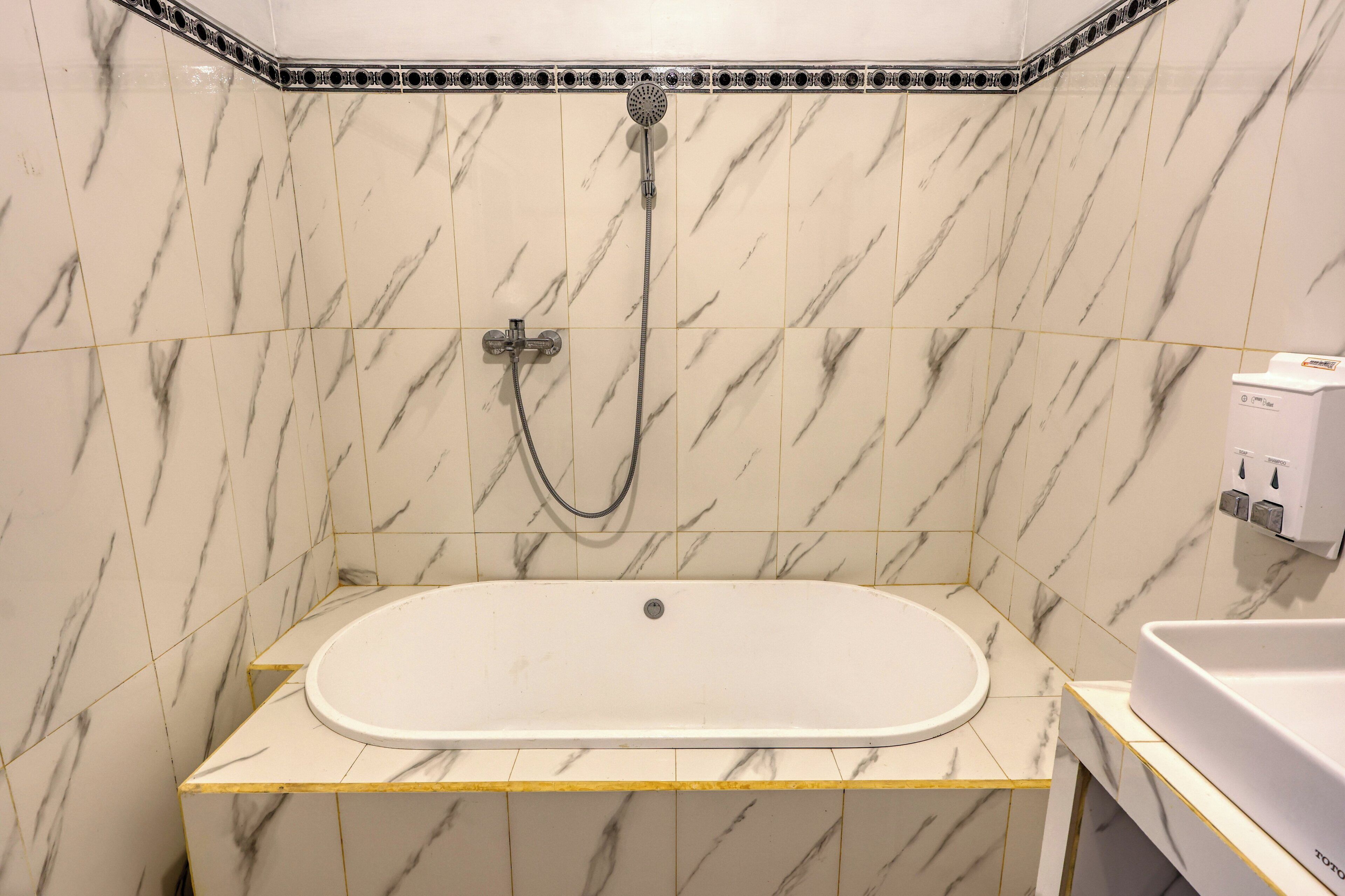 Une salle de bain avec une baignoire sur pieds, une douchette à main et un porte-rouleau de papier toilette fixé au mur.