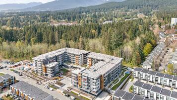 Apartment | 1 bedroom