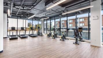 Apartment | 1 bedroom