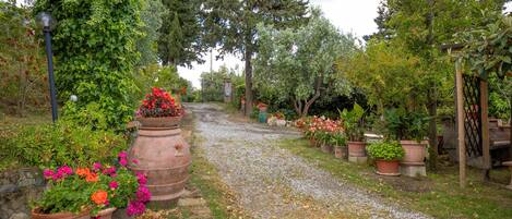 Parco della struttura