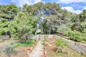 Property grounds - Room 'Serena - 3' with Private Terrace, Wi-Fi and Air Conditioning (Presicce)