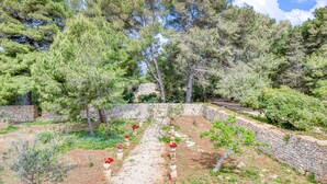 Un jardín con un camino de piedra, árboles y un muro de piedra.