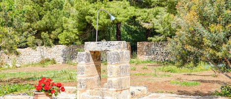 Parco della struttura