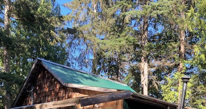 The Cozy Green Cottage - fully stocked cabin in Whaletown close to the ferry