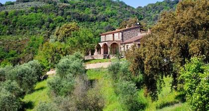Holiday Home 'Il Quercione' with Private Terrace, Wi-Fi and Air Conditioning