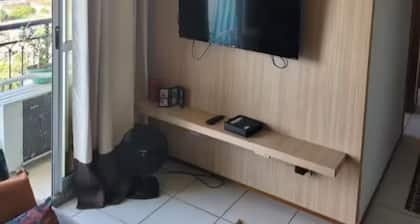 Comfortable Family Apartment