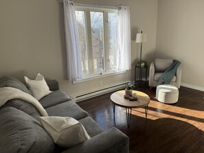 Älytelevisio, kirjoja