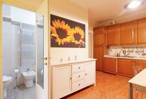 Shower, hair dryer, bidet, towels