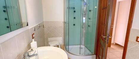 Shower, hair dryer, bidet, towels