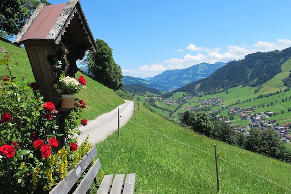 Plante, Ciel, Fleur, Vert, Montagne, La Nature, Paysage Naturel, Pente, Nuage, Végétation