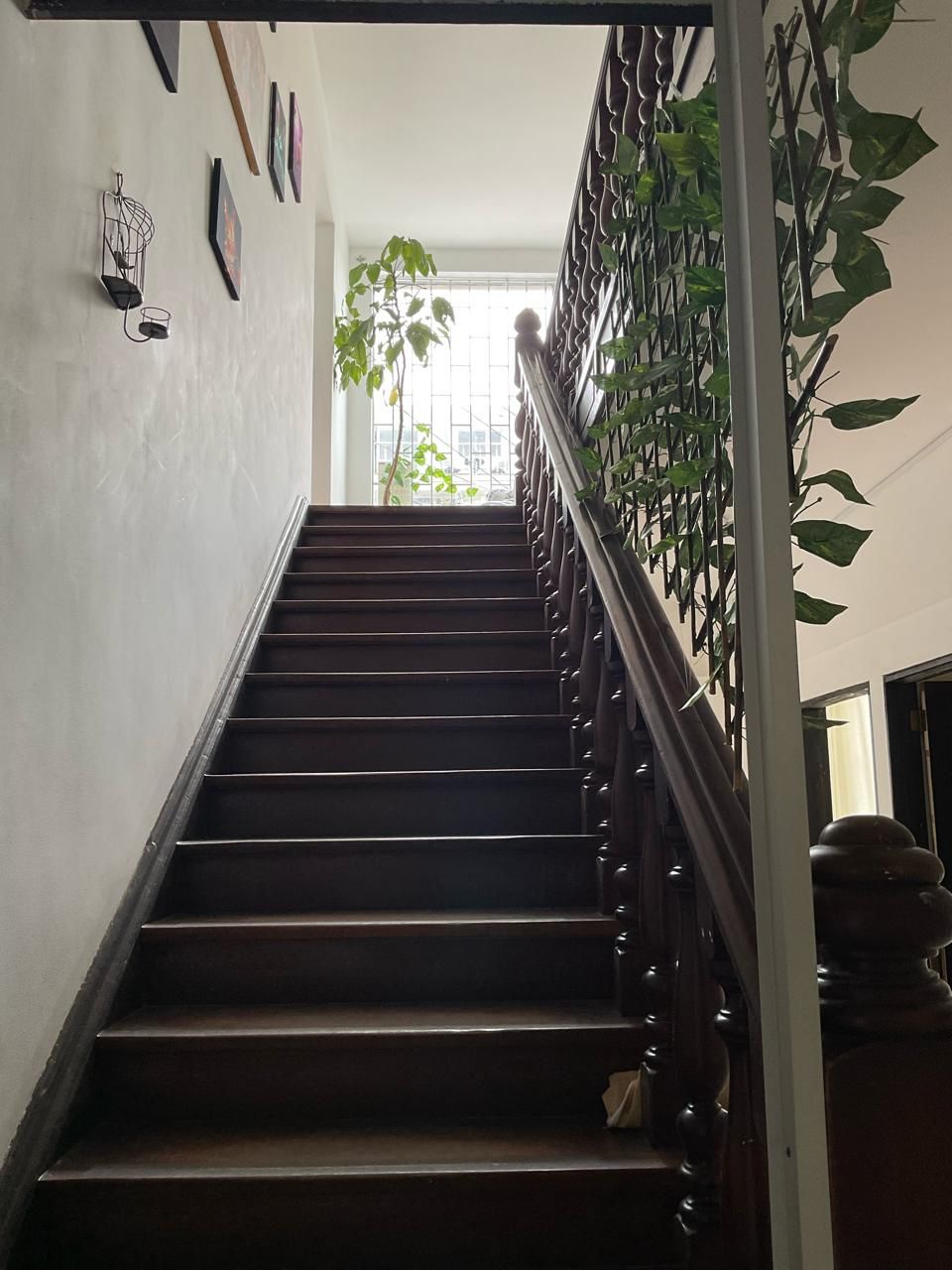 A staircase with a wooden handrail and a view of a plant outside.