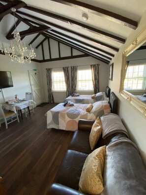 TV - Kates Irish holiday home Killaderry Daingean (Daingean Co Offaly)