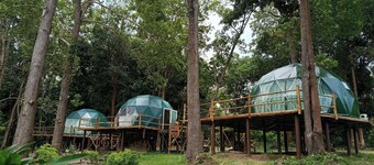 Krabi Campsite Glamping & Camping