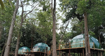 Krabi Campsite Glamping & Camping