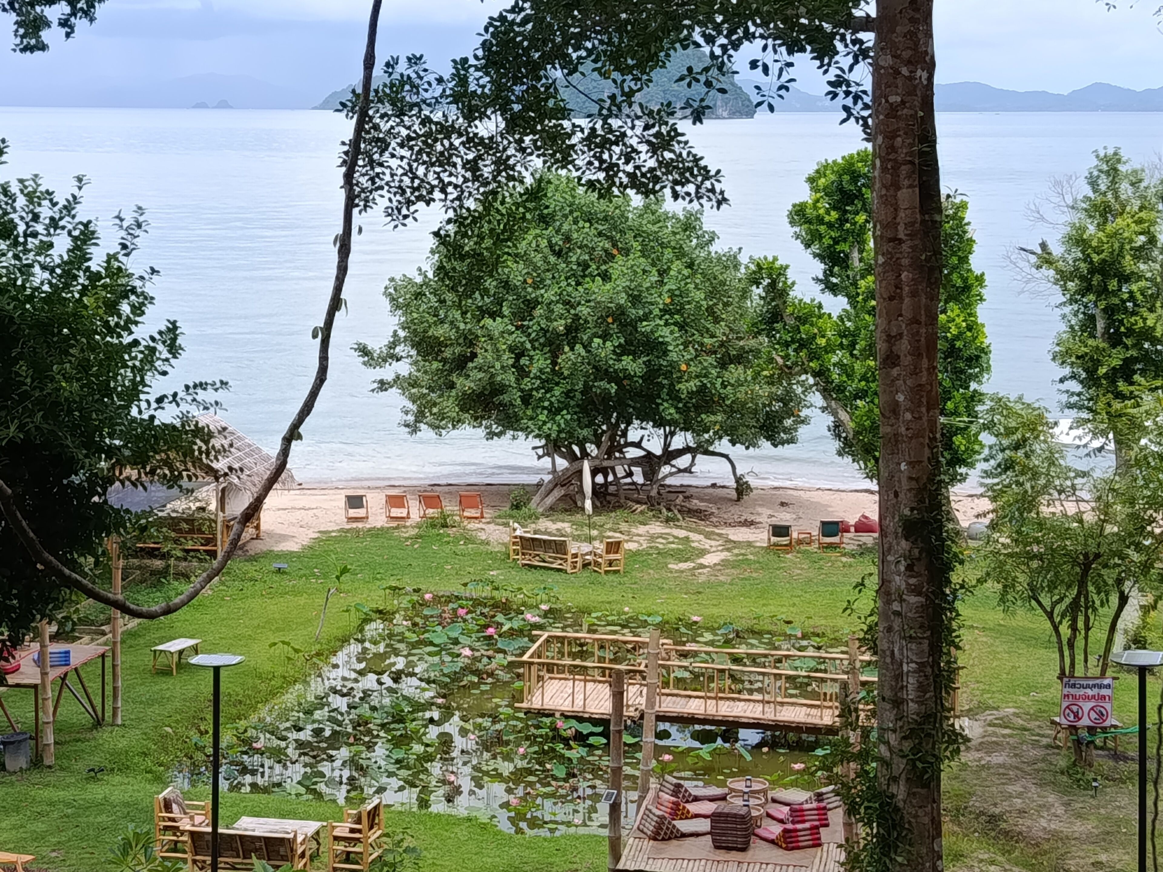 Un entorno tranquilo junto al lago, con una terraza de madera, sillones de descanso y un estanque con nenúfares.