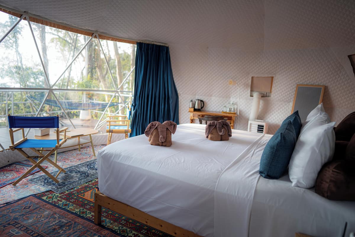 Ein Zimmer mit einem Bett, zwei handtuchförmig gestalteten Tieren, einem kleinen Tisch mit Wasserkocher, einem Sessel und Blick auf Bäume durch ein Fenster.