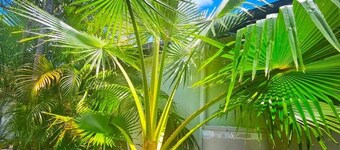 Cypress Caravan Stay