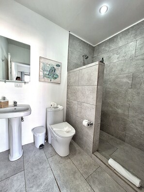 Shower, hair dryer, towels, soap