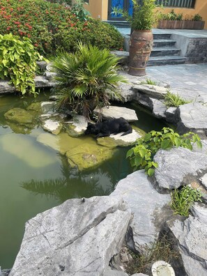 Exterior - May Garden Homestay (Ninh Binh)