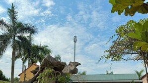 A garden with a pond, stone tables, and a building with a green roof. - May Garden Homestay (Ninh Binh)