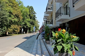 En gata med en trottoar som Àr kantad av blomkrukor och dÀr en fotgÀngare gÄr.