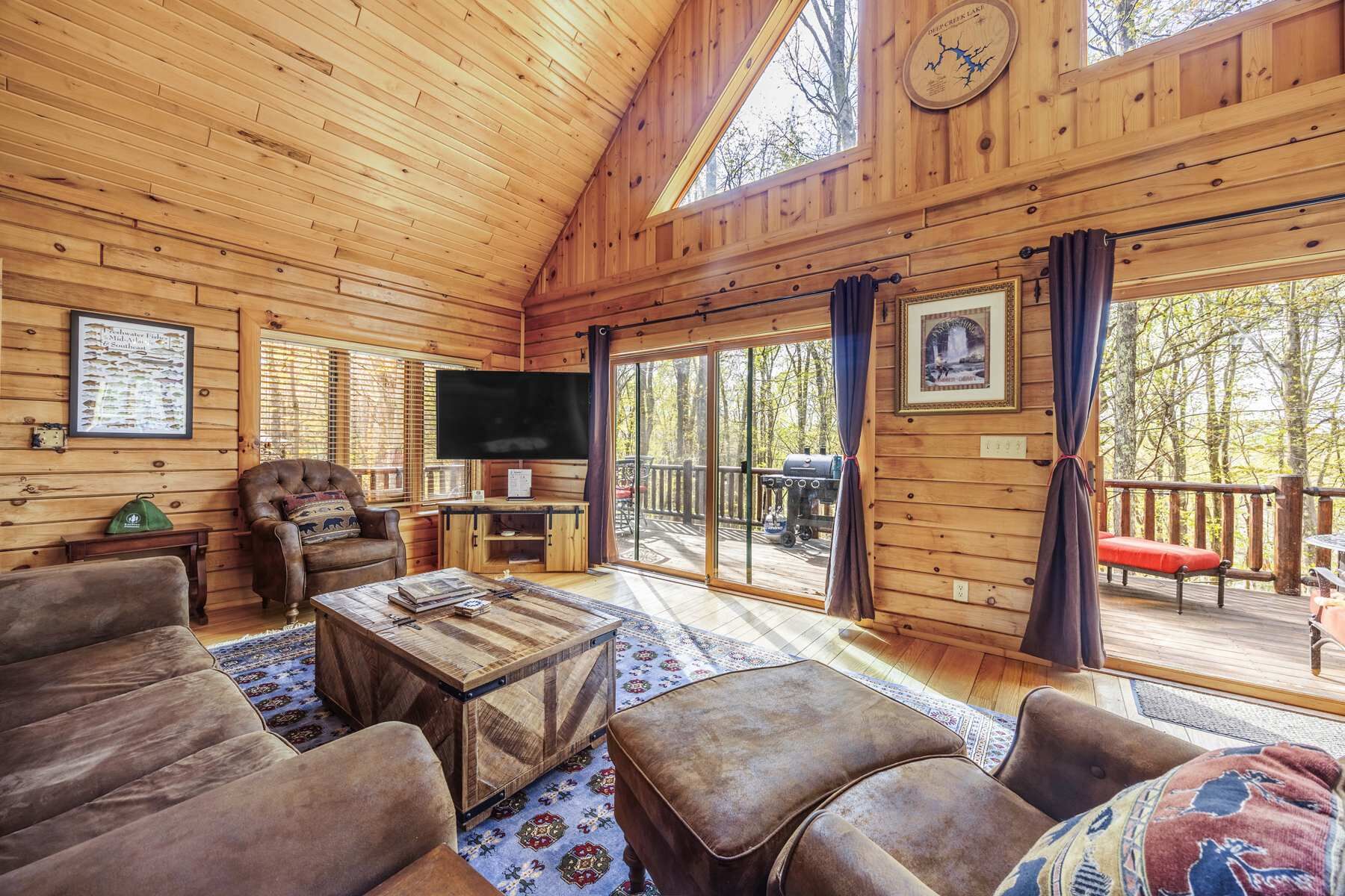 TV, fireplace, books