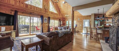 TV, fireplace, books