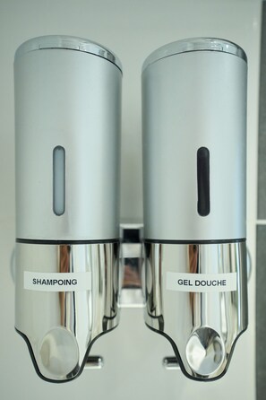 Séchoir à cheveux, serviettes fournies, savon, papier de toilette