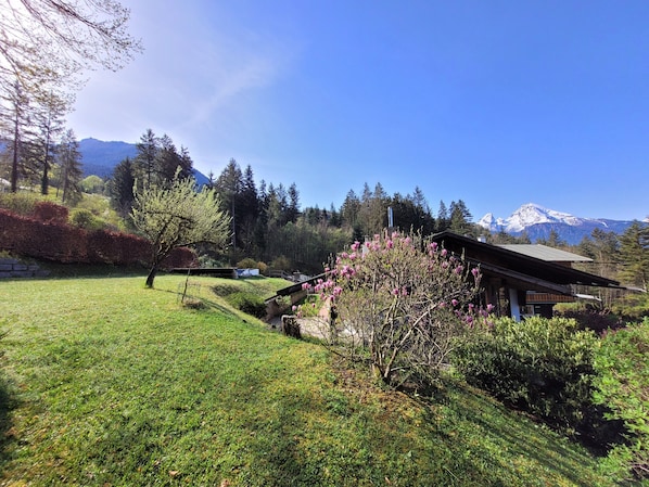 Terrain de l’hébergement 
