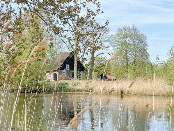 Una casa rustica con tetto di paglia, circondata da erba alta e alberi, vicino a una superficie d'acqua tranquilla.