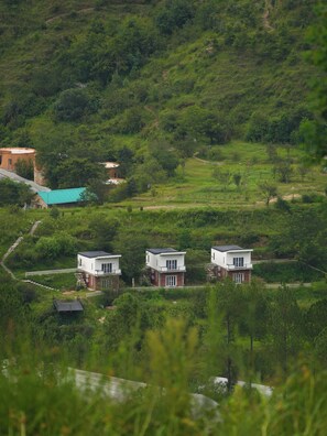 Un paisaje rural con tres casas modernas rodeadas de abundante vegetación y un camino sinuoso.