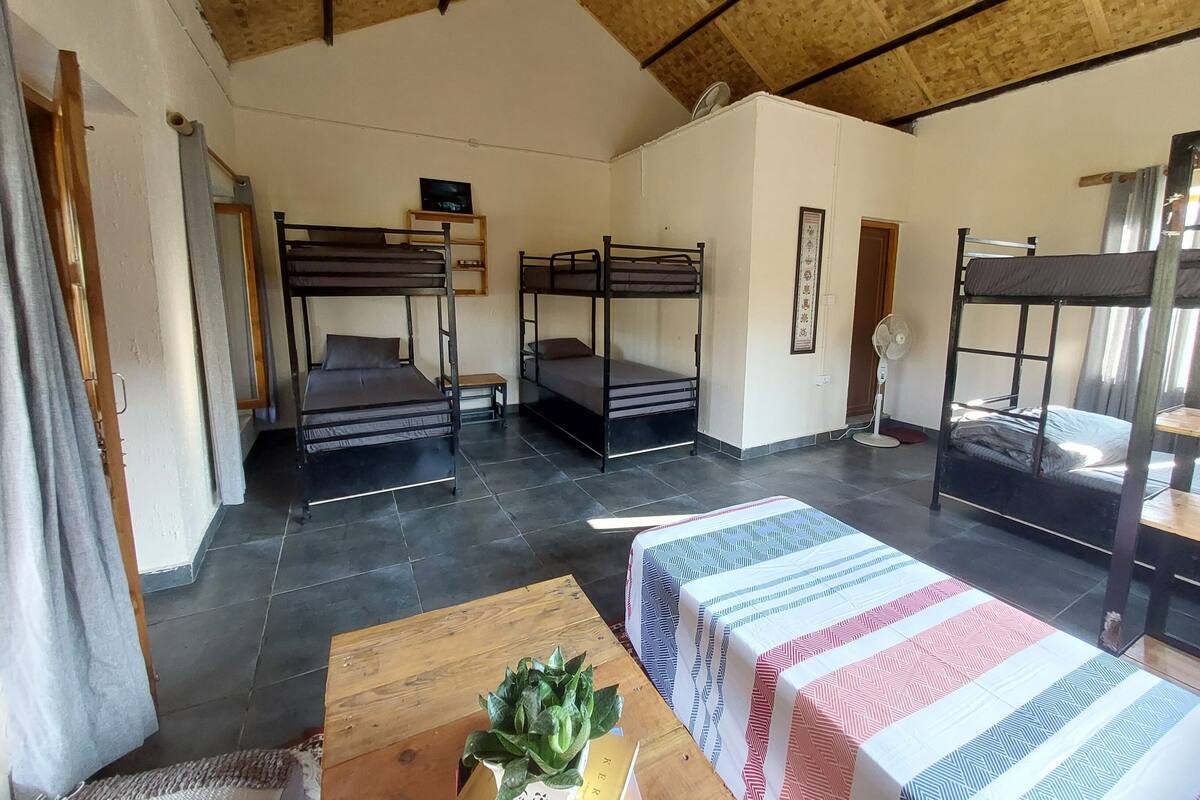 A dormitory room with bunk beds, a wooden table, a fan, and a small plant.