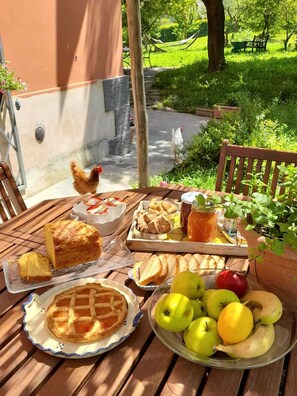 Outdoor dining - Merula. Organic winery farm between Orvieto and Lake Bolsena (orvieto)