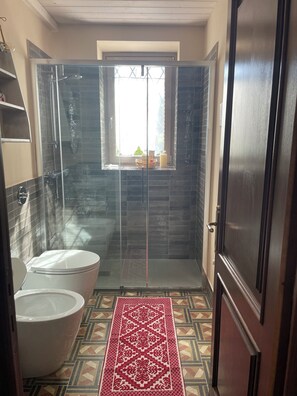 Hair dryer, bidet, towels, soap