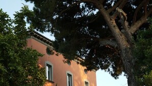 A building with a pink facade, multiple windows, and a large tree in front. - Merula. Organic winery farm between Orvieto and Lake Bolsena (orvieto)