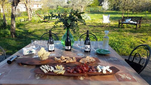 Merula. Organic winery farm between Orvieto and Lake Bolsena