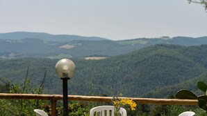 A table with two glasses of orange juice, a vase with flowers, and a plate with fruit, set against a backdrop of a mountainous landscape.