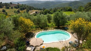 A swimming pool surrounded by lush greenery and hills in the background.