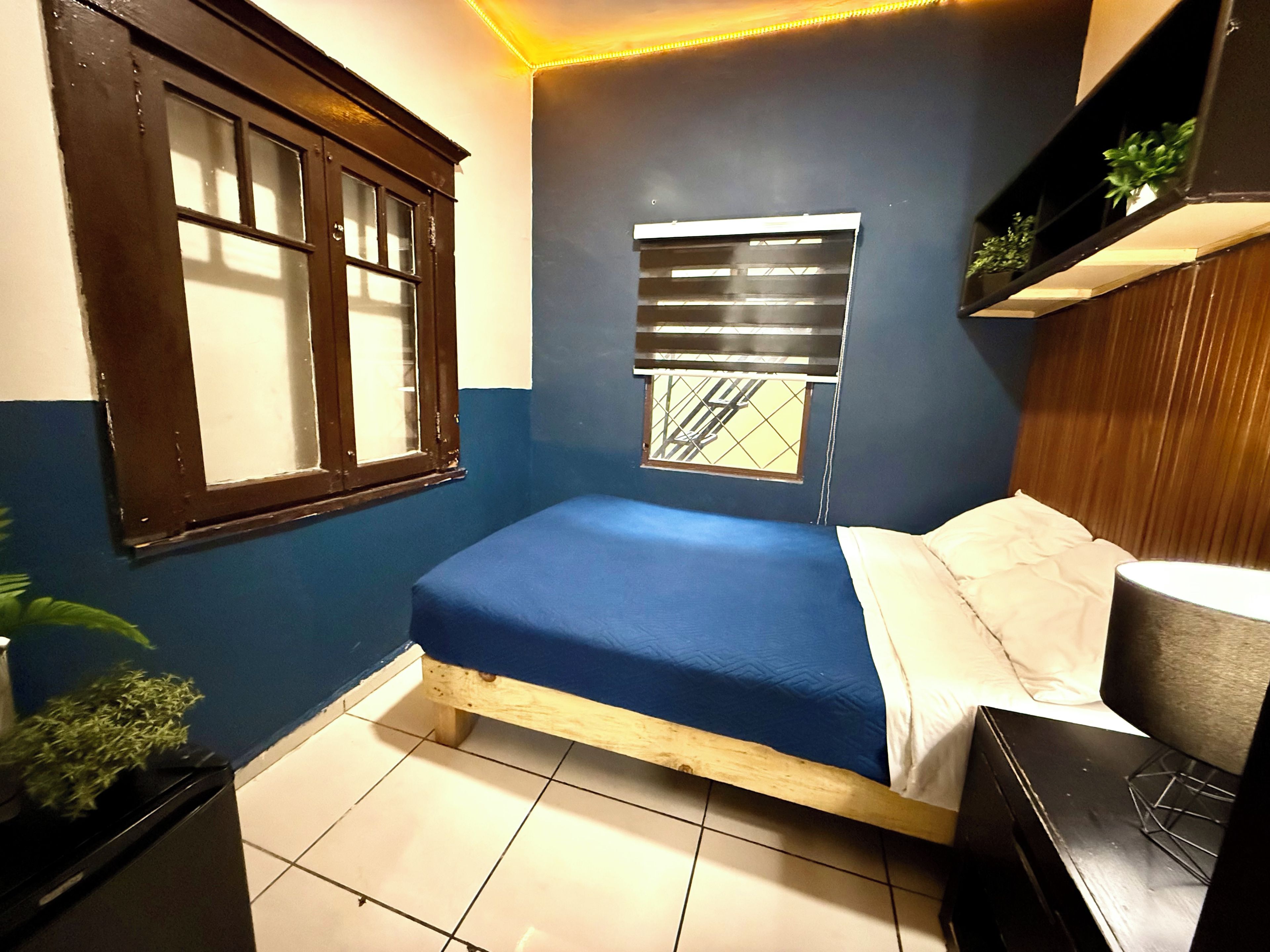 A bedroom with a single bed, a window with blinds, a bedside table, and a small shelf with plants.